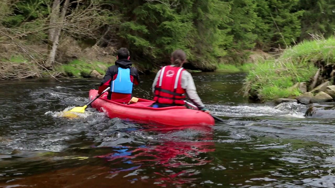 Teplá Vltava Stream