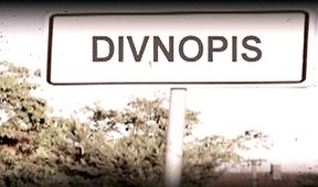 Divnopis