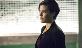Arrow V (4)