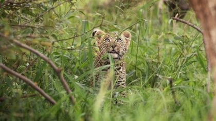 Serengeti II, Zázračná planeta (3/6)