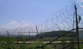 Divočina mezi Korejemi