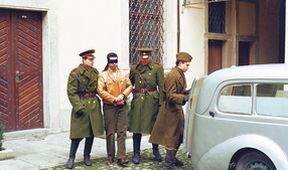 Zdivočelá země (11)
