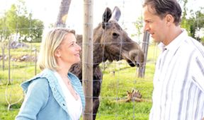 Inga Lindström: Léto u jezera Lilja