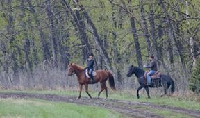 Ranč Heartland II (16/18)