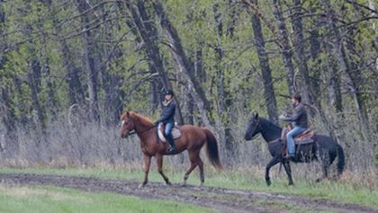 Ranč Heartland II (16/18)