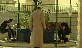 Fauda (8/12)