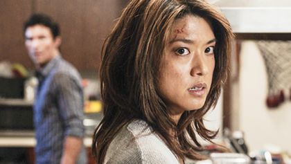 Hawaii 5-0 VII (6)