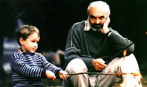 Kolja