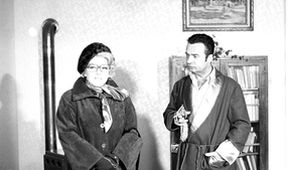 Namátková kontrola