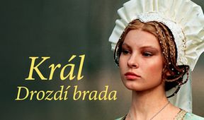 Král Drozdí brada