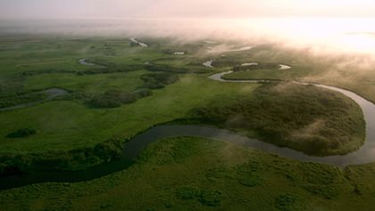 Biebrza: Evropská Amazonie