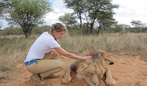 Safari turistika - zaplať a zastřel si