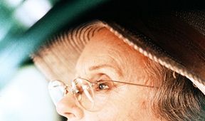 Řidič slečny Daisy
