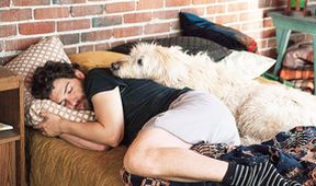 Dog Days