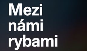 Mezi námi rybami