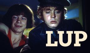Lup
