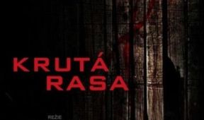 Krutá rasa