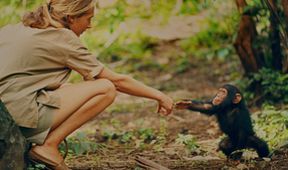 Jane Goodallová - životní příběh