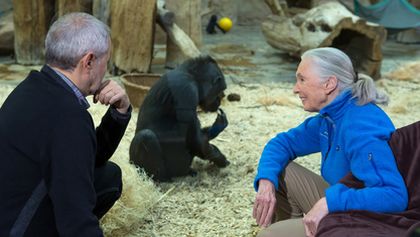 Na plovárně s Jane Goodallovou