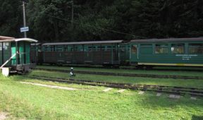 Divočina bez hranic (7)