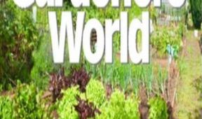 Zahradníkův svět XI (6)