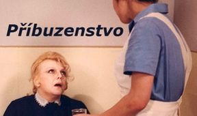Příbuzenstvo