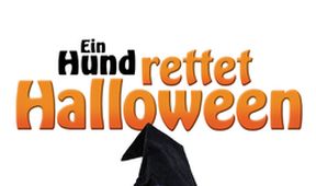 Pes, který zachránil Halloween
