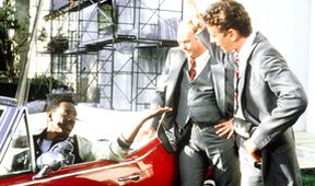 Policajt v Beverly Hills II