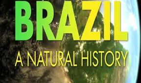 Nespoutaná Brazílie (1)