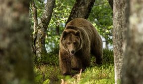 Útočiště - Příběhy o přežití v Alpách (1)