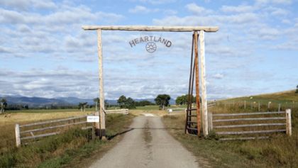 Ranč Heartland IV (20)