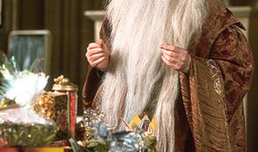 Harry Potter a Kámen mudrců