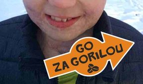 Go za Gorilou!