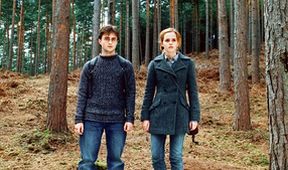 Harry Potter a Relikvie smrti - část 1