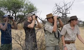Safari