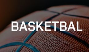 Česko - Makedonie, Basketbal