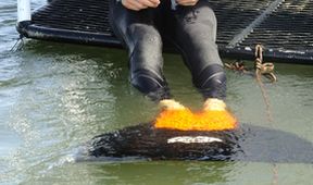 H2O: Stačí přidat vodu III (19/26)