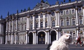Ermitáž - kočičí palác