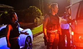 Hawaii 5-0 III (5)