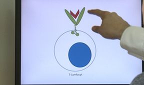Příběhy moderní medicíny - Leukémie v 21. století