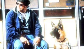 K-9: Soukromý detektiv
