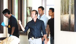 Hawaii 5-0 IV (3)