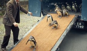 Naše zoo (3/6)