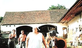 Slunce, seno, erotika