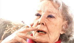 Zkáza krásou