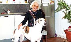 13. komnata Hedy Čechové