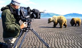 Zázračná planeta: Medvědi grizzly na Aljašce (2/2)