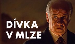 Dívka v mlze