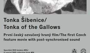 Tonka Šibenice