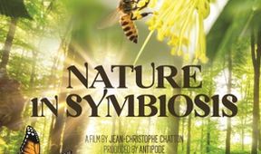 Symbióza v prírode (1)